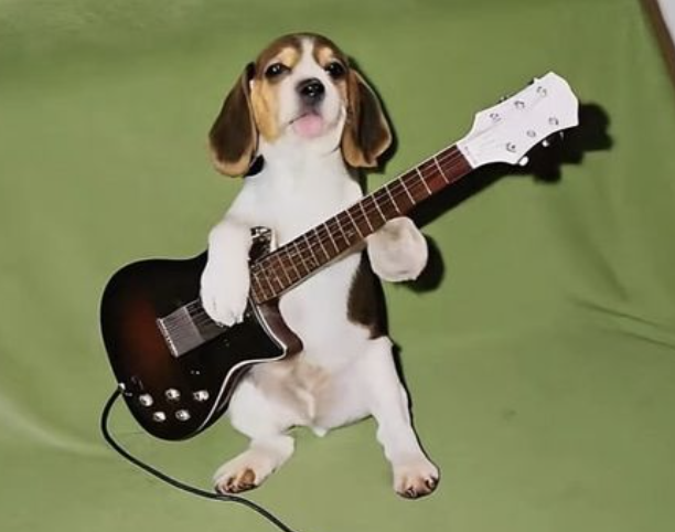 Guitar - Image 1